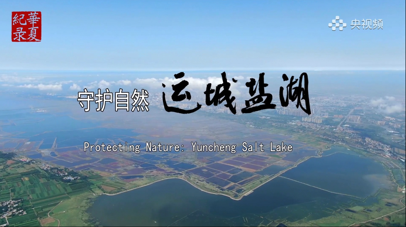 央视频